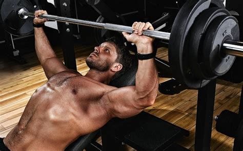 The Ultimate Guide to Weights Benches: Top Picks and Tips for Effective Strength Training