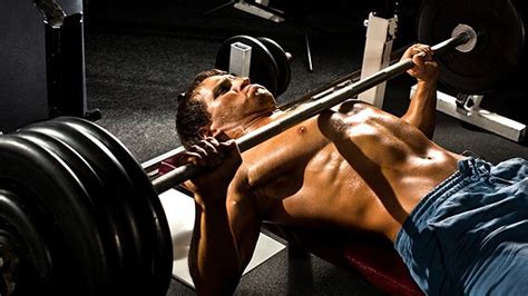 The Ultimate Guide to Weights Benches: Top Picks and Tips for Effective Strength Training