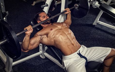 The Ultimate Guide to Weights Benches: Top Picks and Tips for Effective Strength Training