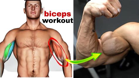 10 Effective Strength Building Workouts to Boost Your Fitness and Muscle Growth