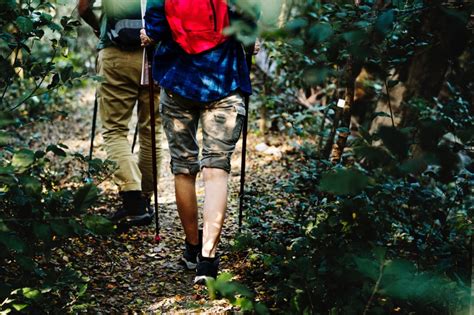 Discover the Best Hiking Areas Near You: Top Trails for Every Fitness Level