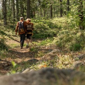 Discover the Best Hiking Areas Near You: Top Trails for Every Fitness Level