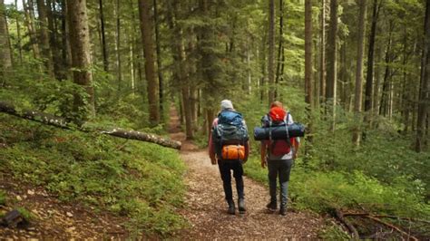 Discover the Best Hiking Areas Near You: Top Trails for Every Fitness Level