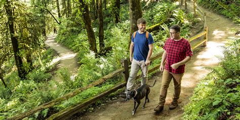 Discover the Best Dog-Friendly Hiking Trails Near You: Top Routes for Enjoyable Walks with Your Furry Friend