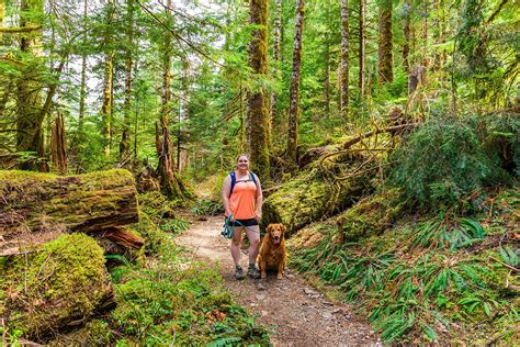 Discover the Best Dog-Friendly Hiking Trails Near You: Top Routes for Enjoyable Walks with Your Furry Friend