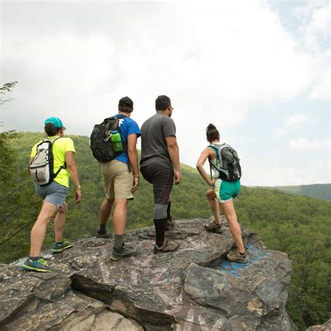 Discover the Best Local Hiking Trails: Top Picks for Scenic and Adventurous Hikes Near You