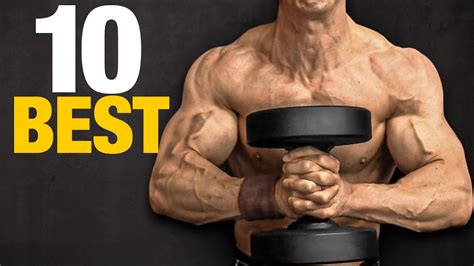 Top 10 Forearm Workouts for Building Muscle and Strength: Best Exercises for Every Fitness Level in Your Strength Training Routine