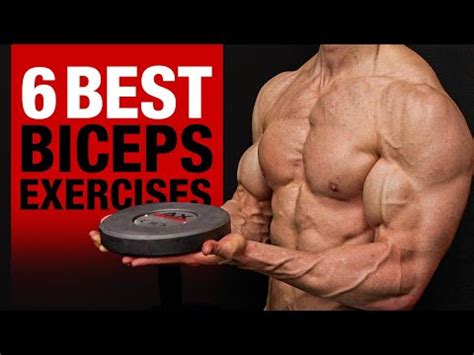 Top-Rated Weights Bench and Essential Weights Set Options: Your Ultimate Guide to Choosing the Best Strength Training Equipment for Home and Gym Workouts